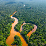 DJI_0551