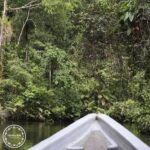 canoa-waita-1